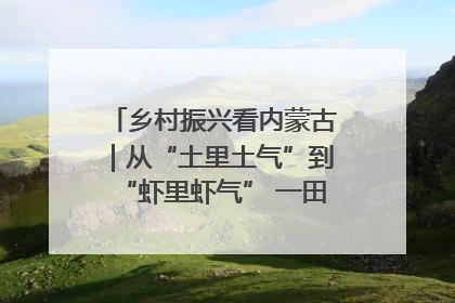 乡村振兴看内蒙古｜从“土里土气”到“虾里虾气” 一田双收模式火出圈