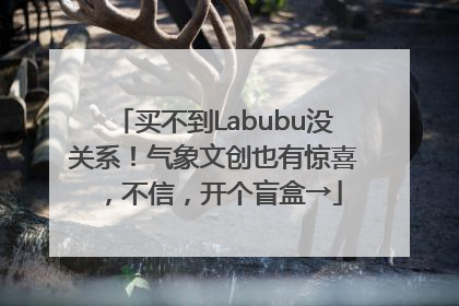 买不到Labubu没关系！气象文创也有惊喜，不信，开个盲盒→