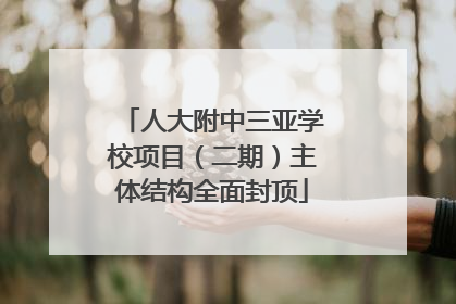 人大附中三亚学校项目（二期）主体结构全面封顶