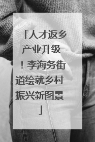 人才返乡 产业升级！李海务街道绘就乡村振兴新图景