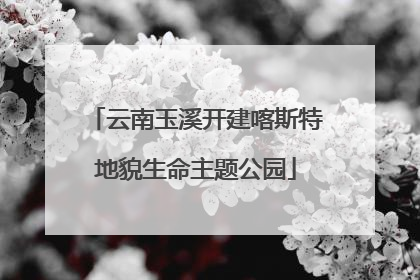 云南玉溪开建喀斯特地貌生命主题公园