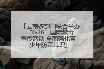云南多部门联合举办“6·26”国际禁毒宣传活动 全面强化青少年防毒意识