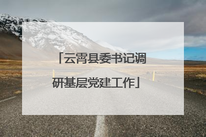 云霄县委书记调研基层党建工作