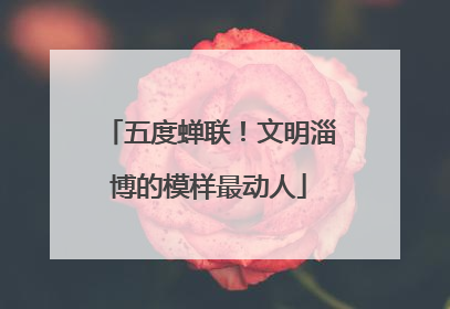 五度蝉联！文明淄博的模样最动人