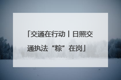 交通在行动丨日照交通执法“粽”在岗