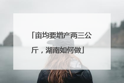 亩均要增产两三公斤，湖南如何做