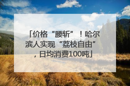价格“腰斩”！哈尔滨人实现“荔枝自由”，日均消费100吨