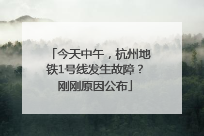 今天中午，杭州地铁1号线发生故障？刚刚原因公布