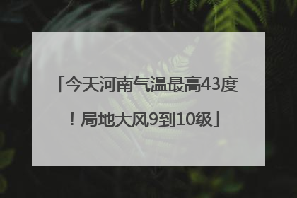今天河南气温最高43度！局地大风9到10级