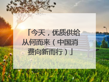 今天，优质供给从何而来（中国消费向新而行）