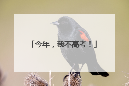 今年，我不高考！