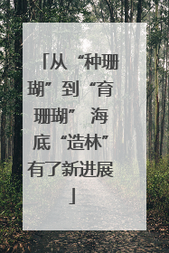 从“种珊瑚”到“育珊瑚” 海底“造林”有了新进展
