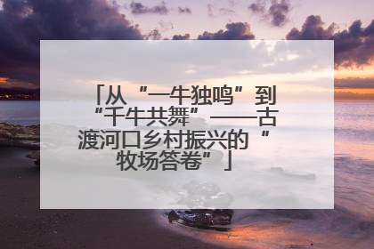 从“一牛独鸣”到“千牛共舞”——古渡河口乡村振兴的“牧场答卷”