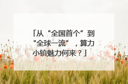 从“全国首个”到“全球一流”，算力小镇魅力何来？