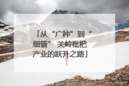 从“广种”到“细管” 关岭枇杷产业的跃升之路