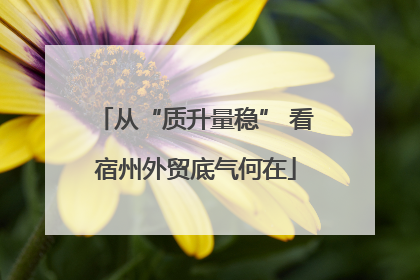 从“质升量稳” 看宿州外贸底气何在