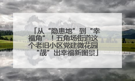 从“隐患地”到“幸福角”！五角场街道这个老旧小区党建微花园“靓”出幸福新图景