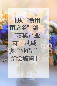 从“食用菌之乡”到“零碳产业园” 武威多产业借兰洽会破圈