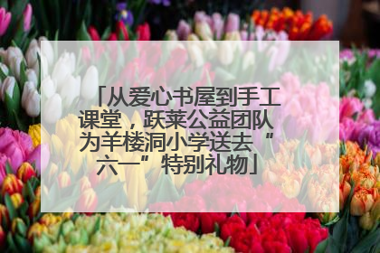 从爱心书屋到手工课堂，跃莱公益团队为羊楼洞小学送去“六一”特别礼物