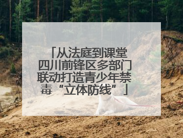 从法庭到课堂 四川前锋区多部门联动打造青少年禁毒“立体防线”
