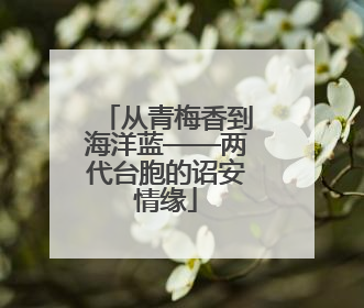从青梅香到海洋蓝——两代台胞的诏安情缘