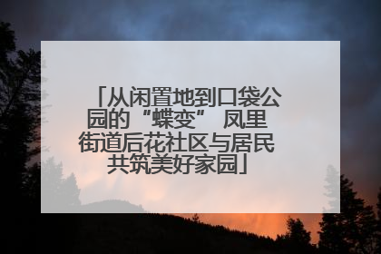 从闲置地到口袋公园的“蝶变” 凤里街道后花社区与居民共筑美好家园