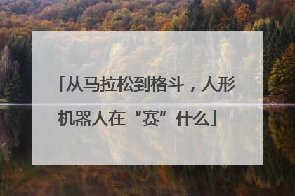 从马拉松到格斗，人形机器人在“赛”什么