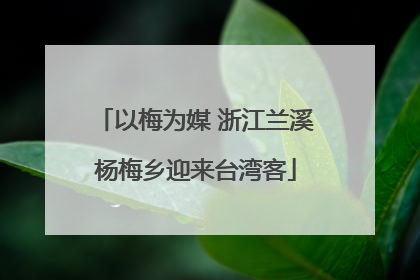 以梅为媒 浙江兰溪杨梅乡迎来台湾客