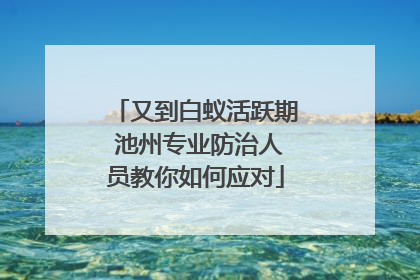 又到白蚁活跃期 池州专业防治人员教你如何应对