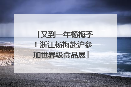 又到一年杨梅季！浙江杨梅赴沪参加世界级食品展