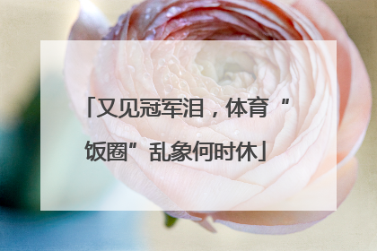 又见冠军泪，体育“饭圈”乱象何时休