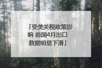 受美关税政策影响 德国4月出口数据明显下滑