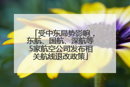 受中东局势影响，东航、国航、深航等5家航空公司发布相关航线退改政策