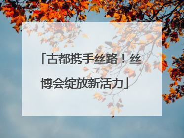 古都携手丝路！丝博会绽放新活力