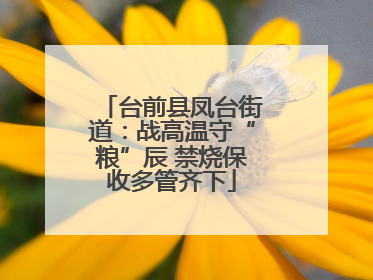 台前县凤台街道：战高温守“粮”辰 禁烧保收多管齐下