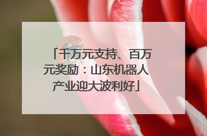 千万元支持、百万元奖励：山东机器人产业迎大波利好