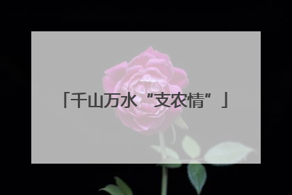 千山万水“支农情”
