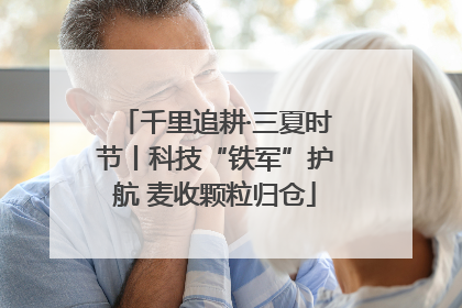千里追耕·三夏时节丨科技“铁军”护航 麦收颗粒归仓