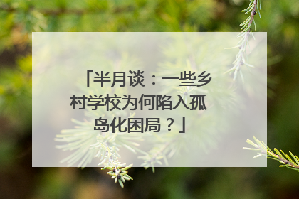 半月谈：一些乡村学校为何陷入孤岛化困局？