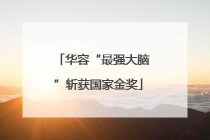 华容“最强大脑”斩获国家金奖