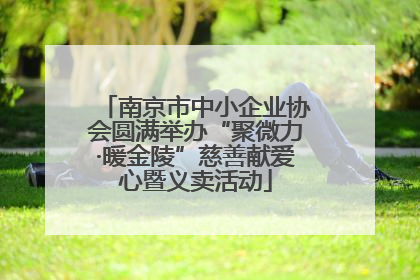 南京市中小企业协会圆满举办“聚微力·暖金陵”慈善献爱心暨义卖活动