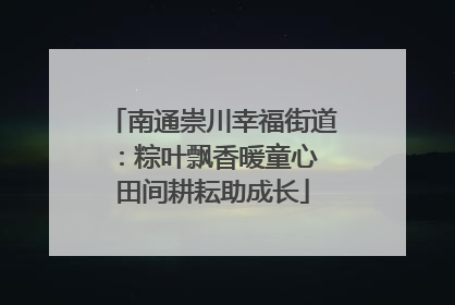 南通崇川幸福街道：粽叶飘香暖童心 田间耕耘助成长