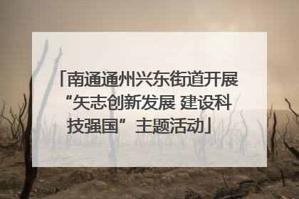 南通通州兴东街道开展“矢志创新发展 建设科技强国”主题活动
