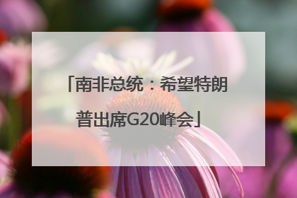 南非总统：希望特朗普出席G20峰会