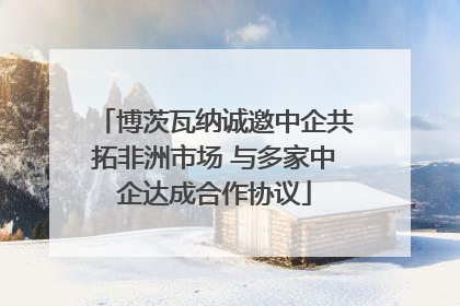 博茨瓦纳诚邀中企共拓非洲市场 与多家中企达成合作协议