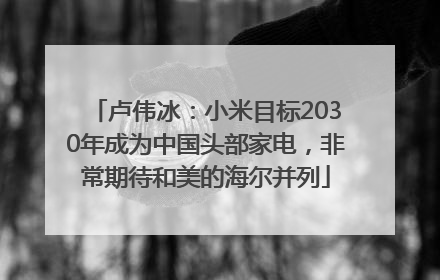 卢伟冰：小米目标2030年成为中国头部家电，非常期待和美的海尔并列