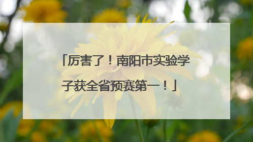 厉害了！南阳市实验学子获全省预赛第一！