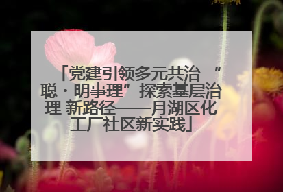 党建引领多元共治 “聪・明事理”探索基层治理 新路径——月湖区化工厂社区新实践