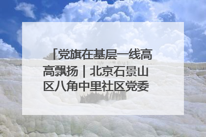 党旗在基层一线高高飘扬｜北京石景山区八角中里社区党委：用脚步丈量民生