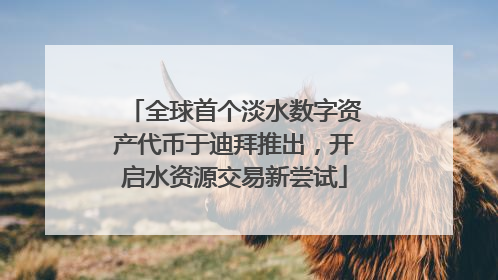 全球首个淡水数字资产代币于迪拜推出，开启水资源交易新尝试